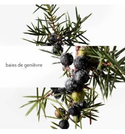 Terre d'Hermès Eau Givrée - Eau de Parfum Terre d'Hermès Eau Givrée - Eau de Parfum
